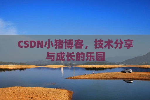 CSDN小猪博客，技术分享与成长的乐园